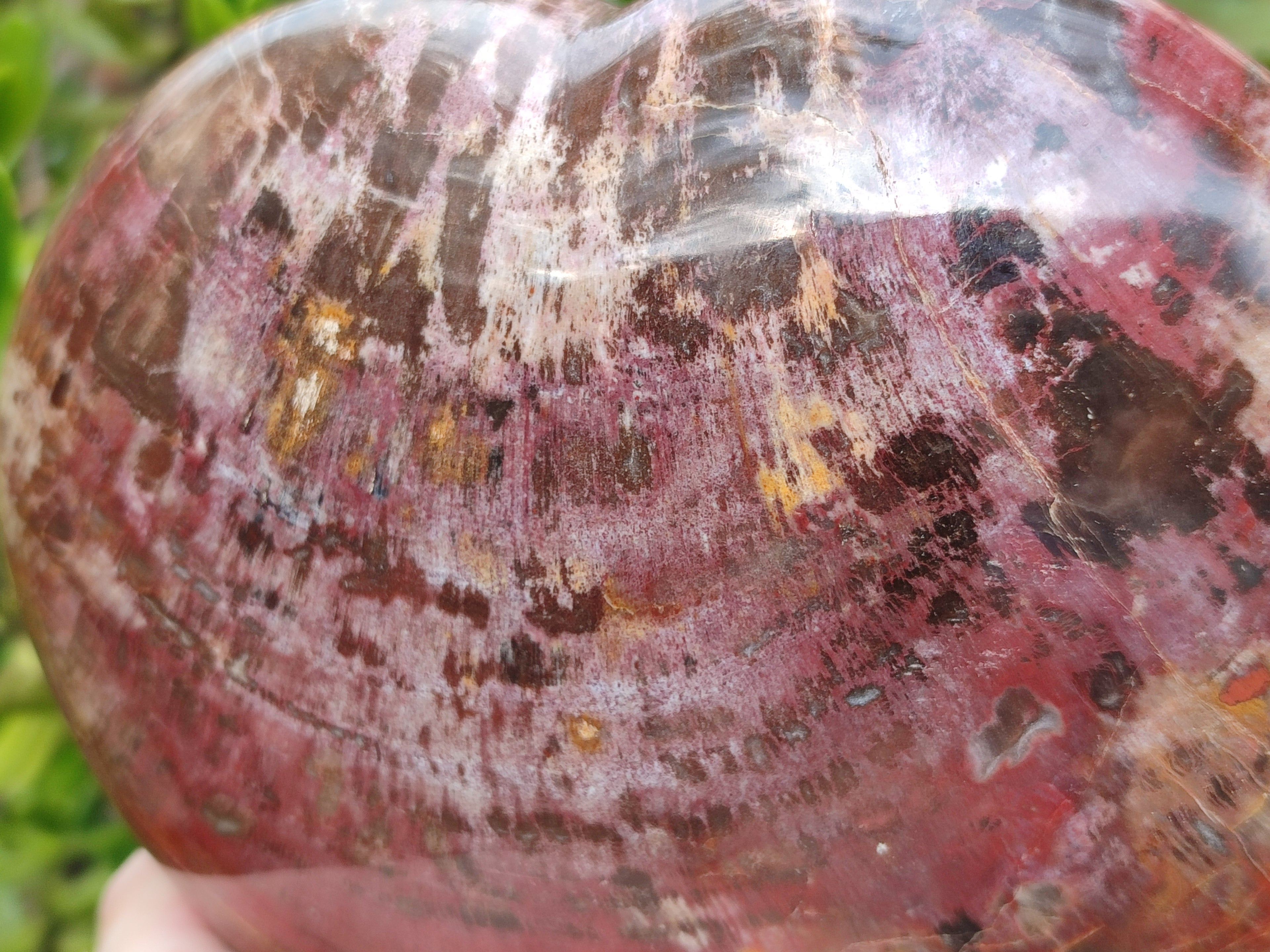 Polished Podocarpus Petrified Wood Heart x 1 From Mahajanga, Madagascar - Toprock Gemstones and Minerals 