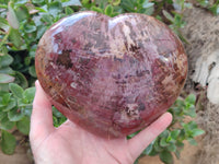 Polished Podocarpus Petrified Wood Heart x 1 From Mahajanga, Madagascar