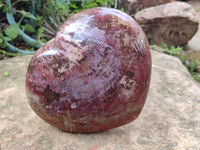 Polished Podocarpus Petrified Wood Heart x 1 From Mahajanga, Madagascar
