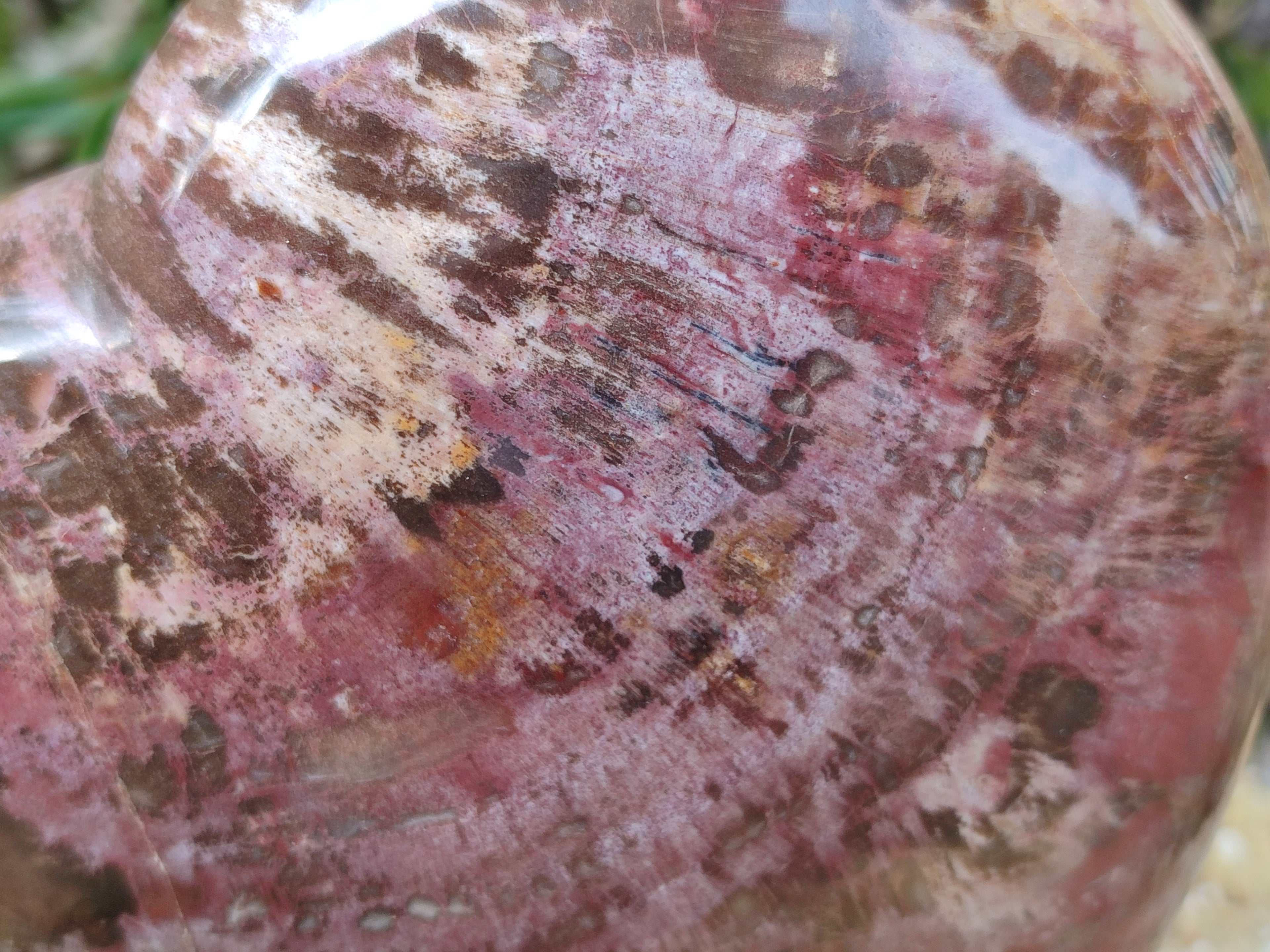 Polished Podocarpus Petrified Wood Heart x 1 From Mahajanga, Madagascar - Toprock Gemstones and Minerals 