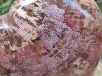 Polished Podocarpus Petrified Wood Heart x 1 From Mahajanga, Madagascar