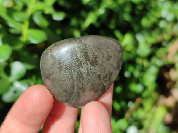 Polished Pharaoh Stone Free Forms x 12 From Zimbabwe - Toprock Gemstones and Minerals 