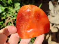 Polished Carnelian Standing Free Forms x 4 From Madagascar - Toprock Gemstones and Minerals 