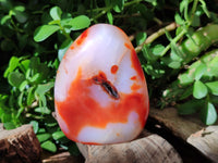 Polished Carnelian Standing Free Forms x 4 From Madagascar - Toprock Gemstones and Minerals 
