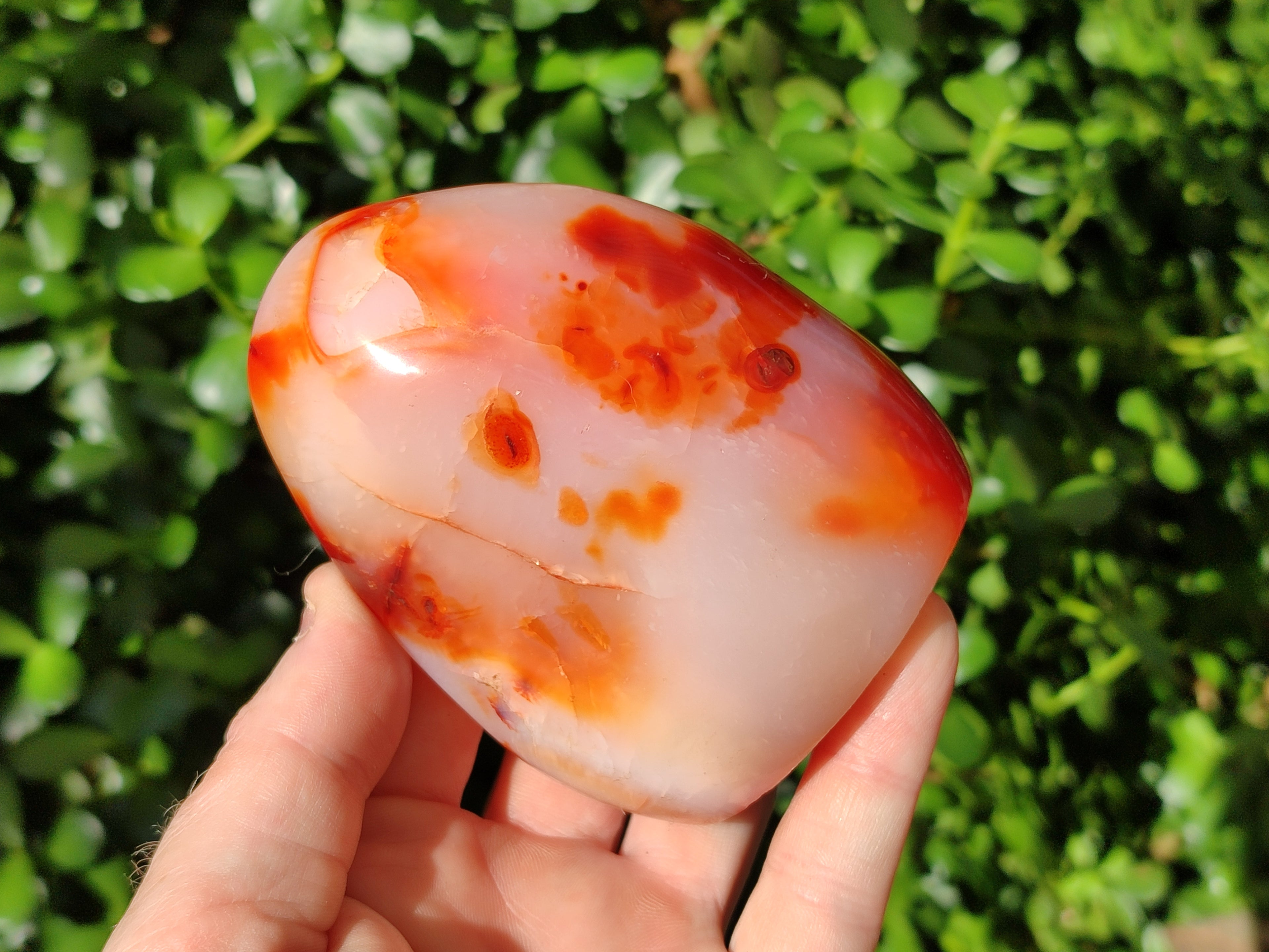 Polished Carnelian Standing Free Forms x 4 From Madagascar - Toprock Gemstones and Minerals 