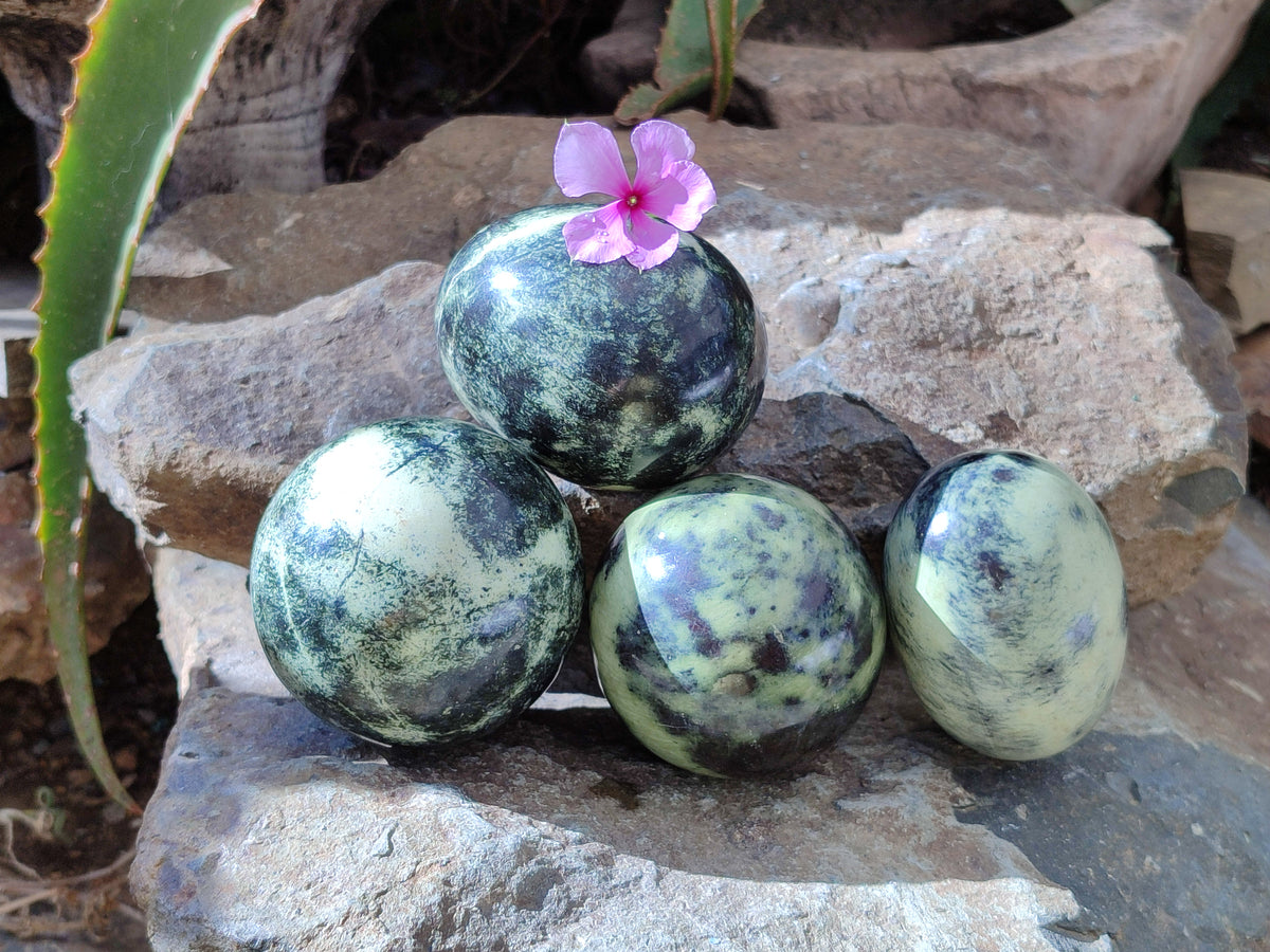 Polished Leopard Stone Eggs x 4 From Zimbabwe - Toprock Gemstones and Minerals 