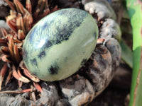 Polished Leopard Stone Eggs x 4 From Zimbabwe - Toprock Gemstones and Minerals 