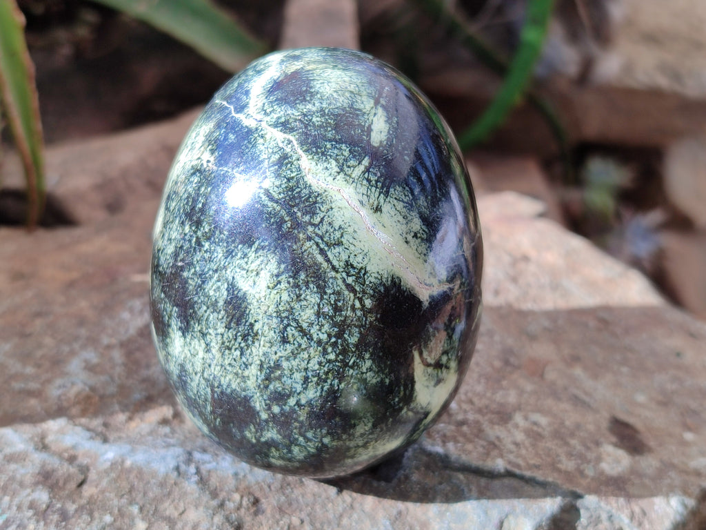 Polished Leopard Stone Eggs x 4 From Zimbabwe - Toprock Gemstones and Minerals 