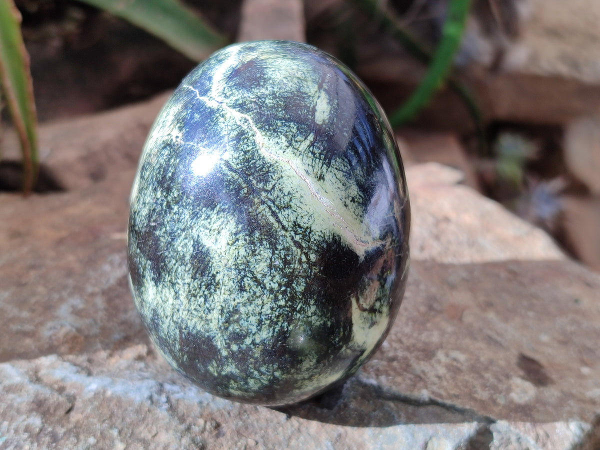 Polished Leopard Stone Eggs x 4 From Zimbabwe - Toprock Gemstones and Minerals 