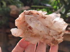 Natural Quartz Clusters x 7 From Zambia - Toprock Gemstones and Minerals 
