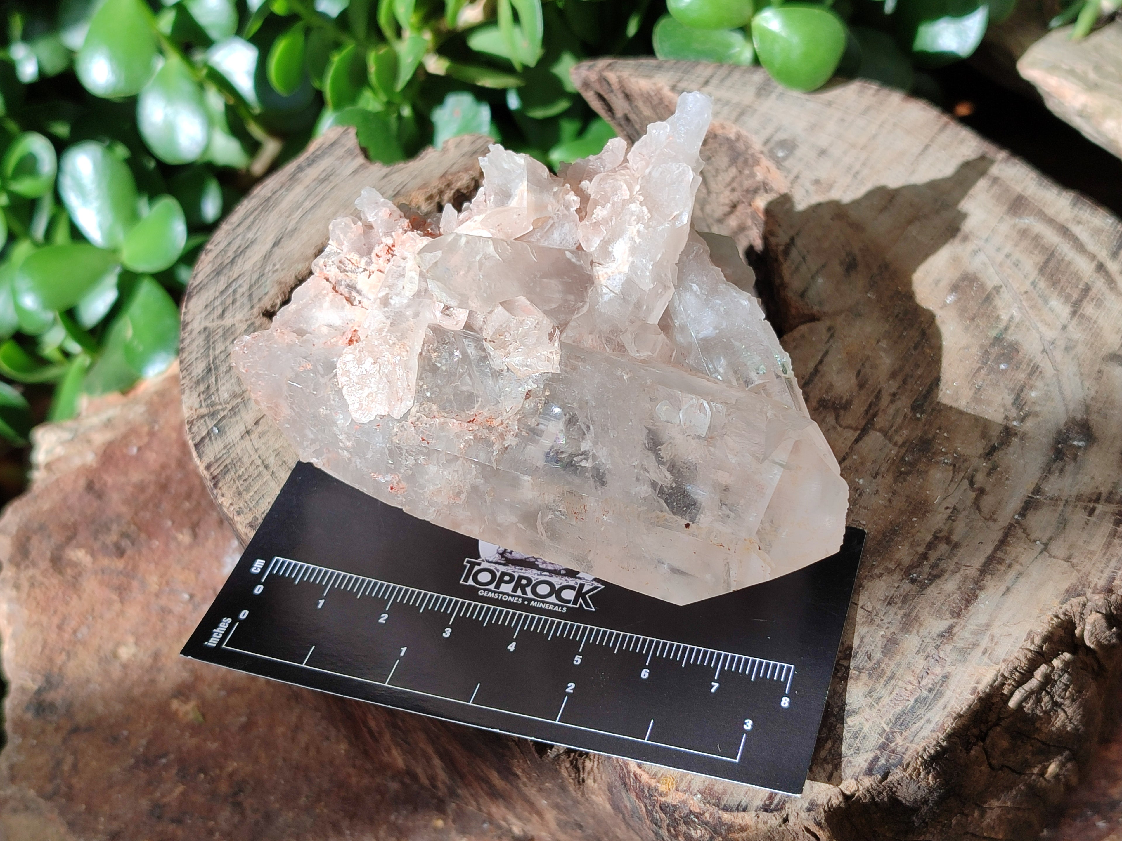 Natural Quartz Clusters x 7 From Zambia - Toprock Gemstones and Minerals 