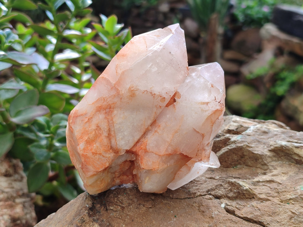 Natural Quartz Clusters x 7 From Zambia - Toprock Gemstones and Minerals 