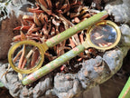 Polished Unakite Magnifying Glasses - Sold Per Item - From South Africa - Toprock Gemstones and Minerals 