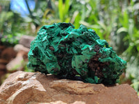 Natural Silky Malachite Specimens x 6 From Kasompe, Congo - Toprock Gemstones and Minerals 