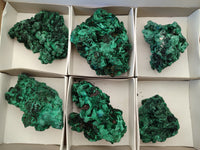 Natural Silky Malachite Specimens x 6 From Kasompe, Congo - Toprock Gemstones and Minerals 