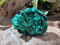 Natural Silky Malachite Specimens x 6 From Kasompe, Congo - Toprock Gemstones and Minerals 