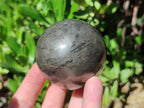 Polished Pharaoh Stone Spheres x 3 From Zimbabwe - Toprock Gemstones and Minerals 