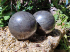 Polished Pharaoh Stone Spheres x 3 From Zimbabwe - Toprock Gemstones and Minerals 