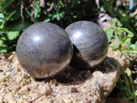 Polished Pharaoh Stone Spheres x 3 From Zimbabwe - Toprock Gemstones and Minerals 