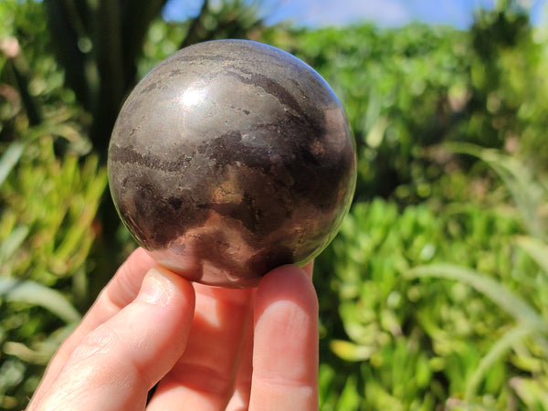 Polished Pharaoh Stone Spheres x 3 From Zimbabwe - Toprock Gemstones and Minerals 