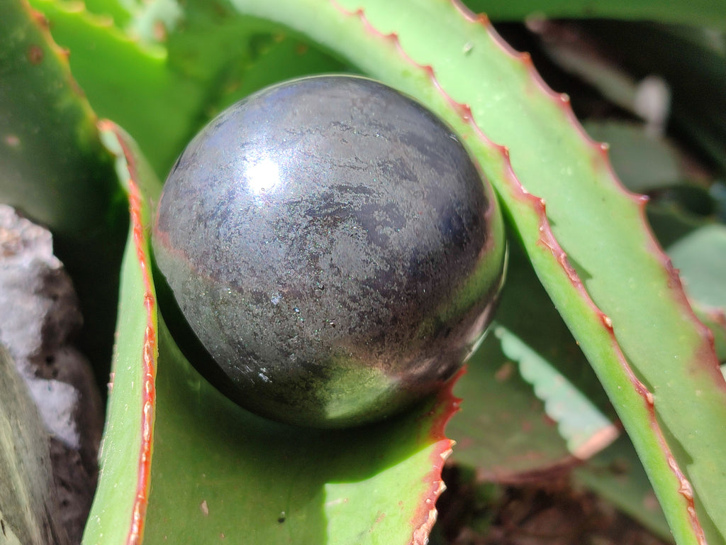 Polished Pharaoh Stone Spheres x 3 From Zimbabwe - Toprock Gemstones and Minerals 