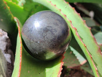 Polished Pharaoh Stone Spheres x 3 From Zimbabwe - Toprock Gemstones and Minerals 