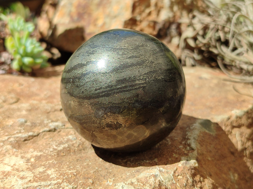 Polished Pharaoh Stone Spheres x 3 From Zimbabwe - Toprock Gemstones and Minerals 