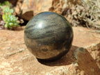 Polished Pharaoh Stone Spheres x 3 From Zimbabwe - Toprock Gemstones and Minerals 