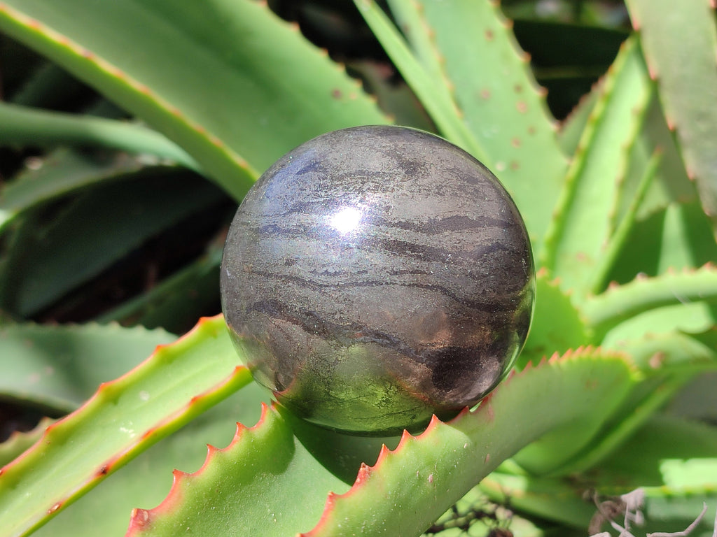 Polished Pharaoh Stone Spheres x 3 From Zimbabwe - Toprock Gemstones and Minerals 