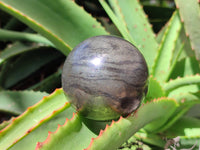 Polished Pharaoh Stone Spheres x 3 From Zimbabwe - Toprock Gemstones and Minerals 