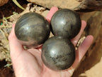 Polished Pharaoh Stone Spheres x 3 From Zimbabwe - Toprock Gemstones and Minerals 