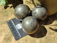 Polished Pharaoh Stone Spheres x 3 From Zimbabwe - Toprock Gemstones and Minerals 