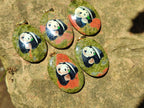 Polished Unakite Pendant with Hand Painted Panda - Sold Per Item - From South Africa - Toprock Gemstones and Minerals 