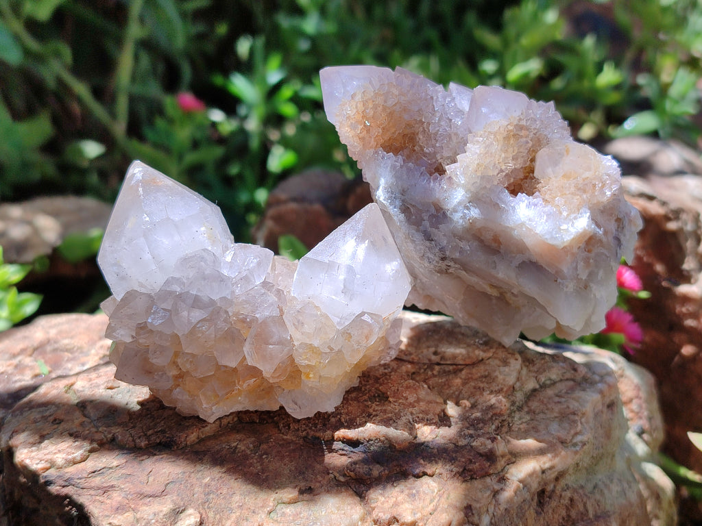 Natural Amethyst Spirit Quartz Clusters x 20 From Boekenhouthoek, South Africa - Toprock Gemstones and Minerals 