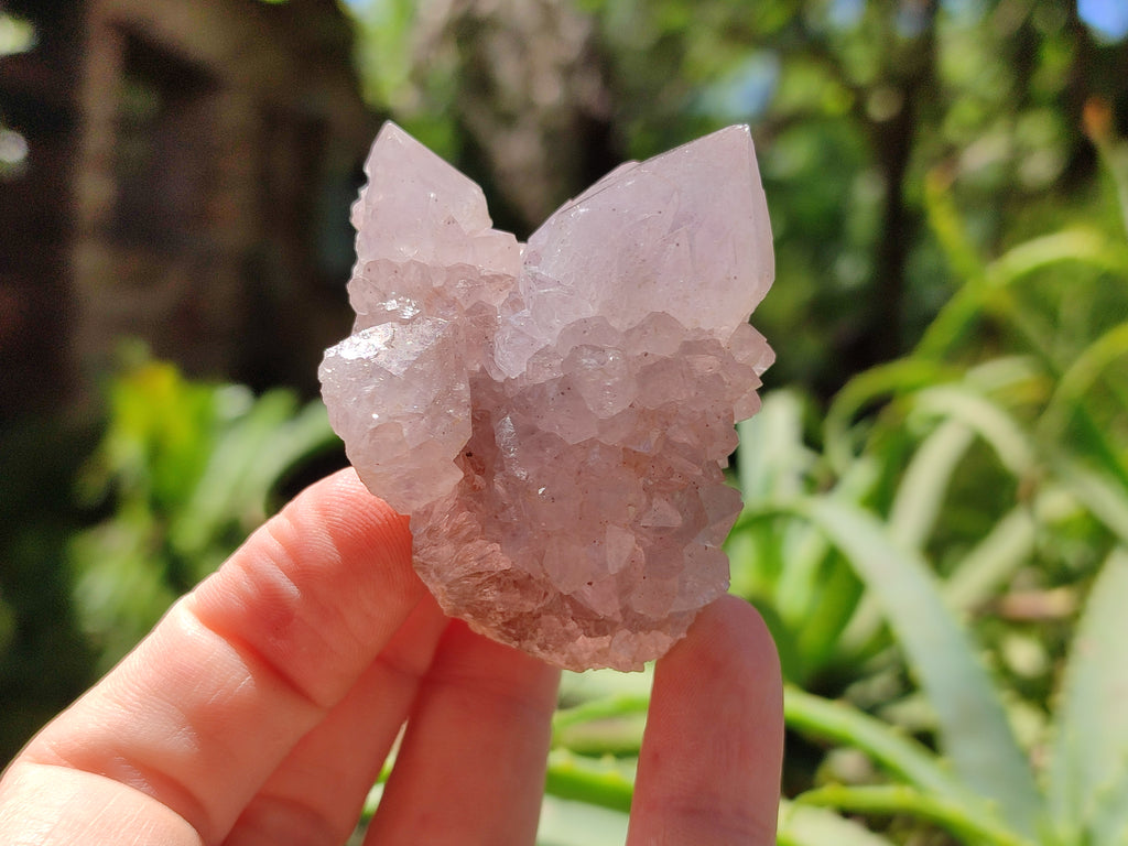 Natural Amethyst Spirit Quartz Clusters x 20 From Boekenhouthoek, South Africa - Toprock Gemstones and Minerals 