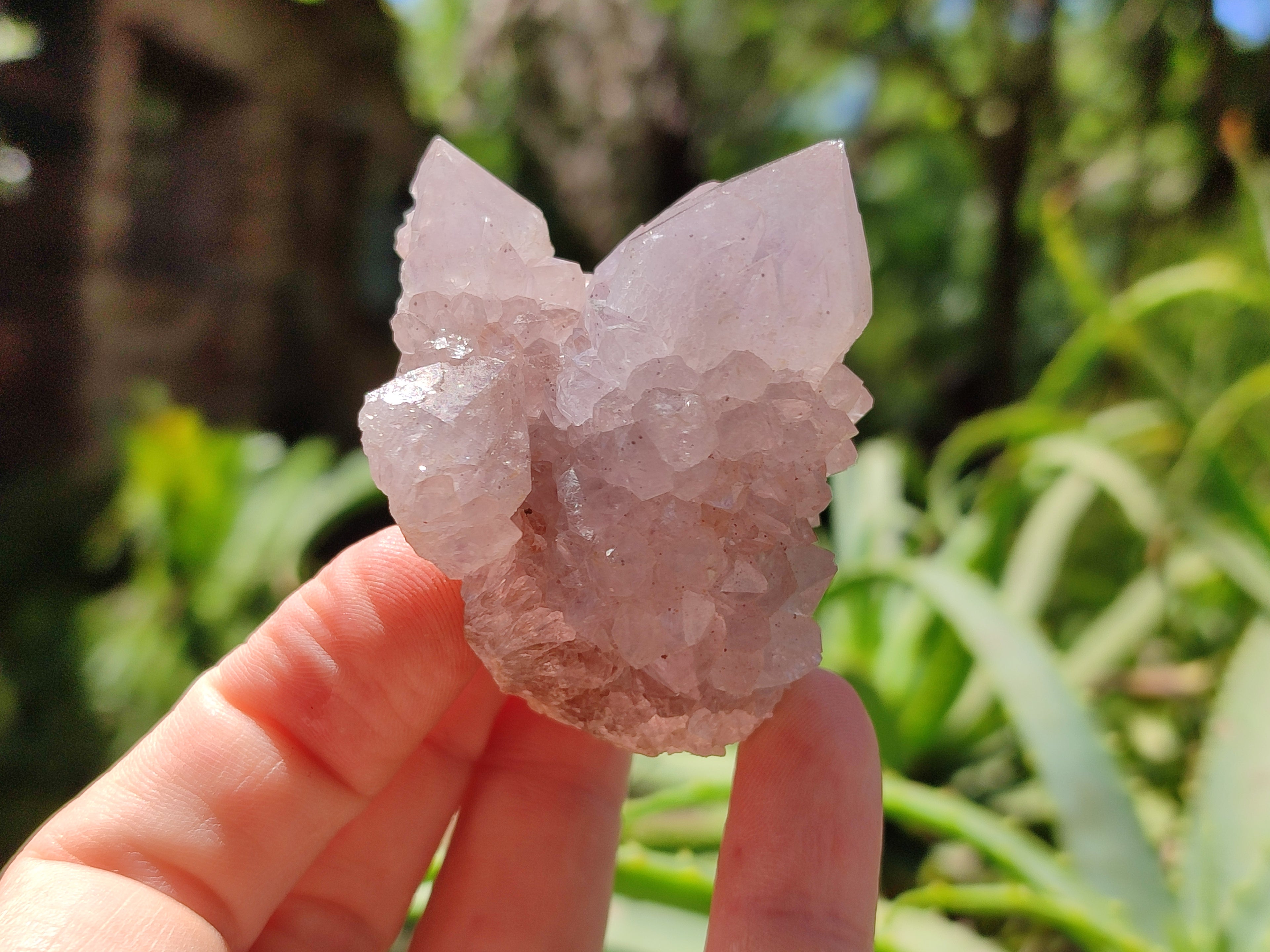 Natural Amethyst Spirit Quartz Clusters x 20 From Boekenhouthoek, South Africa - Toprock Gemstones and Minerals 