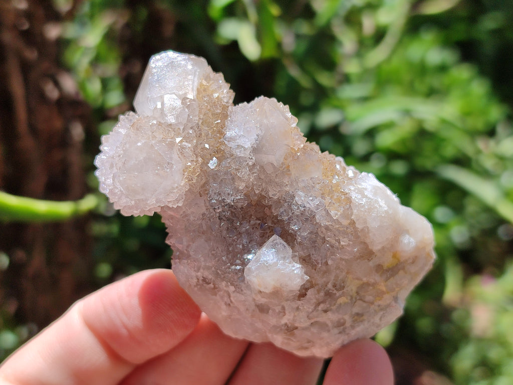 Natural Amethyst Spirit Quartz Clusters x 20 From Boekenhouthoek, South Africa - Toprock Gemstones and Minerals 