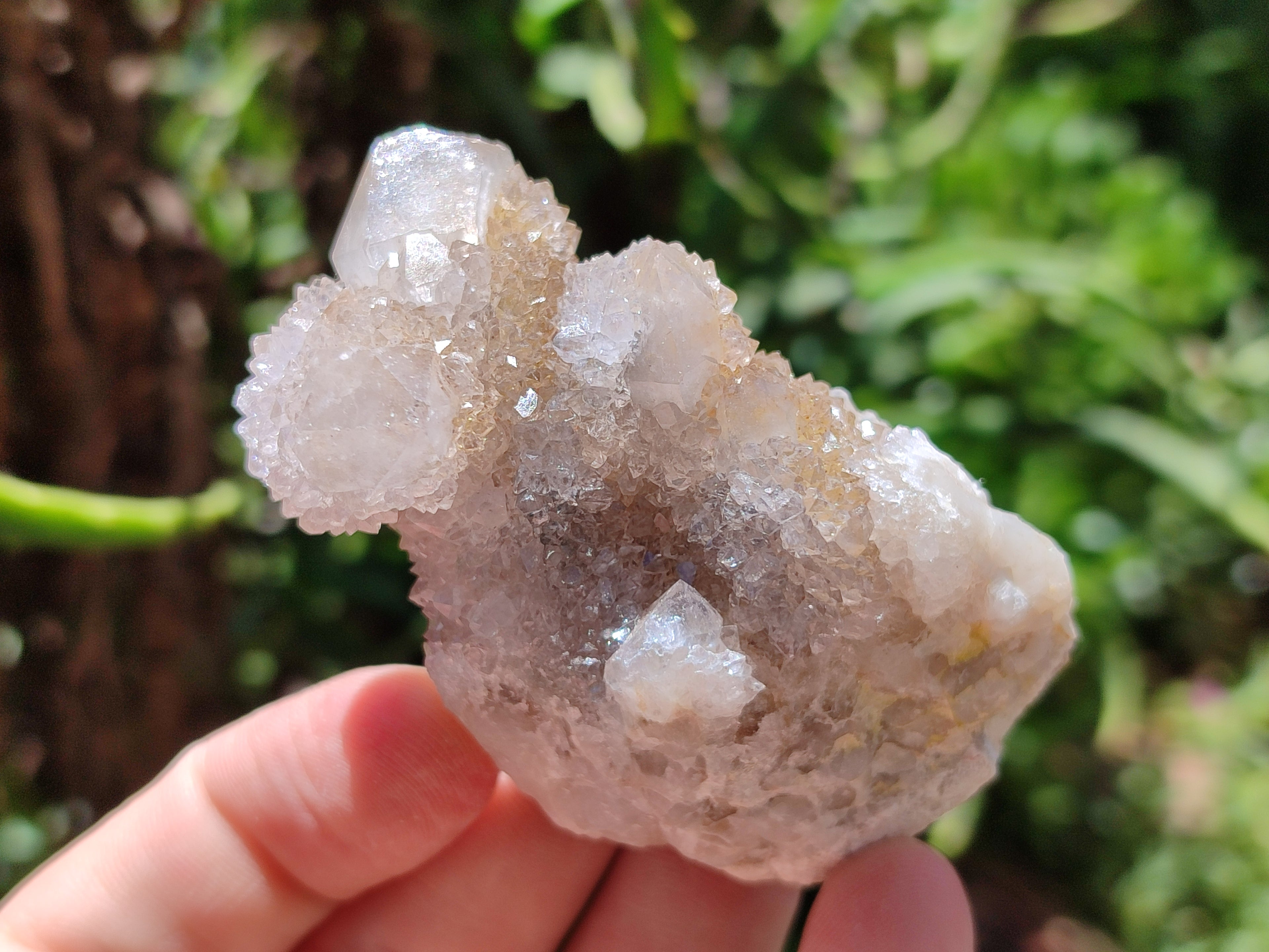 Natural Amethyst Spirit Quartz Clusters x 20 From Boekenhouthoek, South Africa - Toprock Gemstones and Minerals 