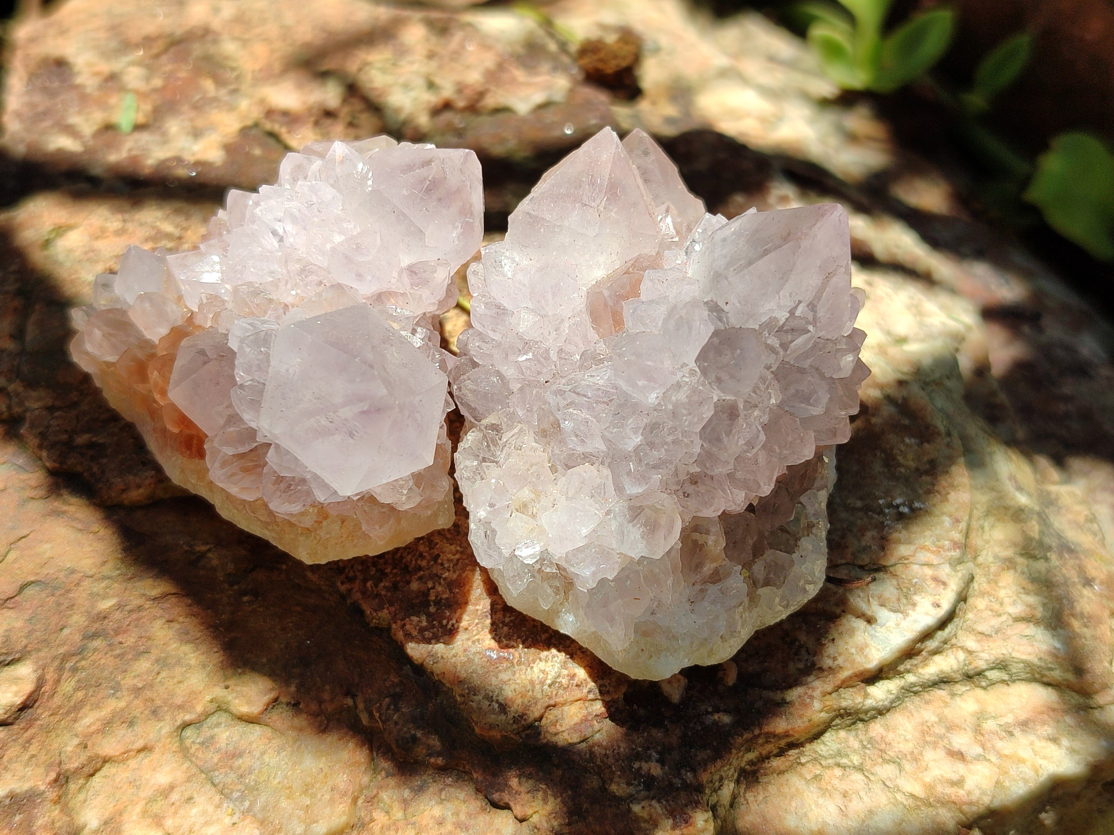 Natural Amethyst Spirit Quartz Clusters x 20 From Boekenhouthoek, South Africa - Toprock Gemstones and Minerals 