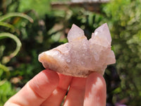 Natural Amethyst Spirit Quartz Clusters x 20 From Boekenhouthoek, South Africa - Toprock Gemstones and Minerals 