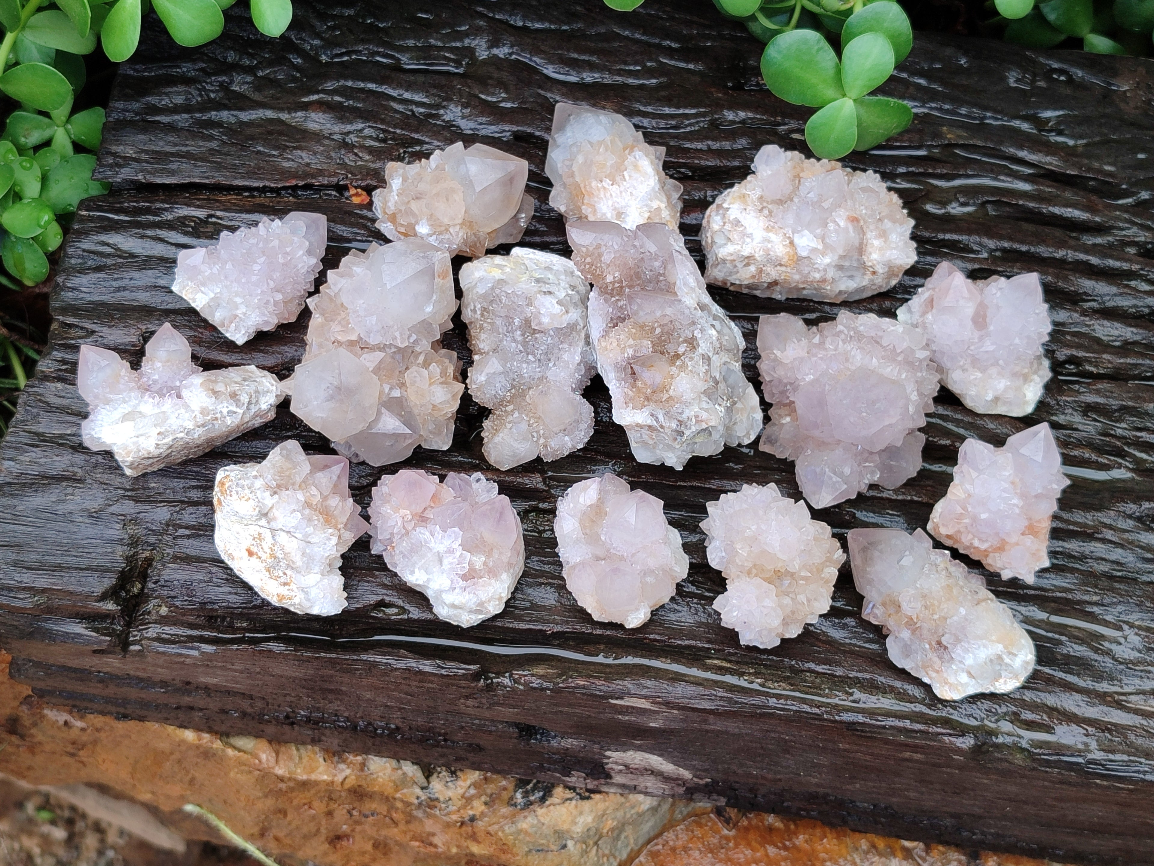 Natural Amethyst Spirit Quartz Clusters x 20 From Boekenhouthoek, South Africa - Toprock Gemstones and Minerals 