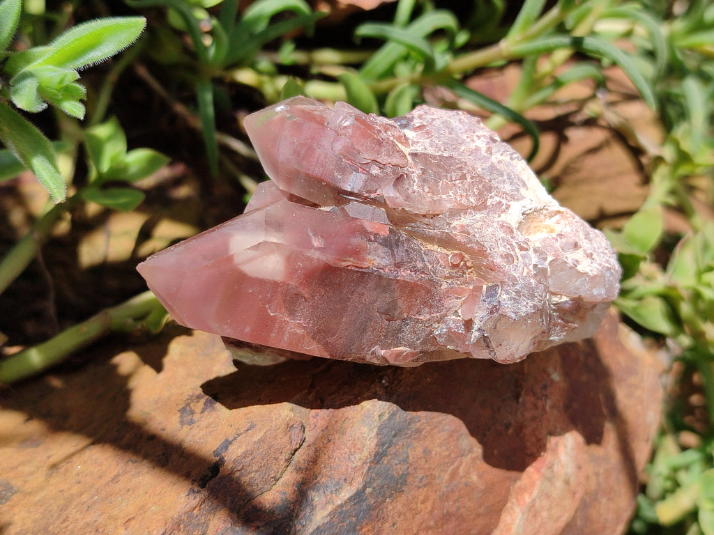 Natural Red Hematoid Quartz Clusters x 15 From Karoi, Zimbabwe - Toprock Gemstones and Minerals 