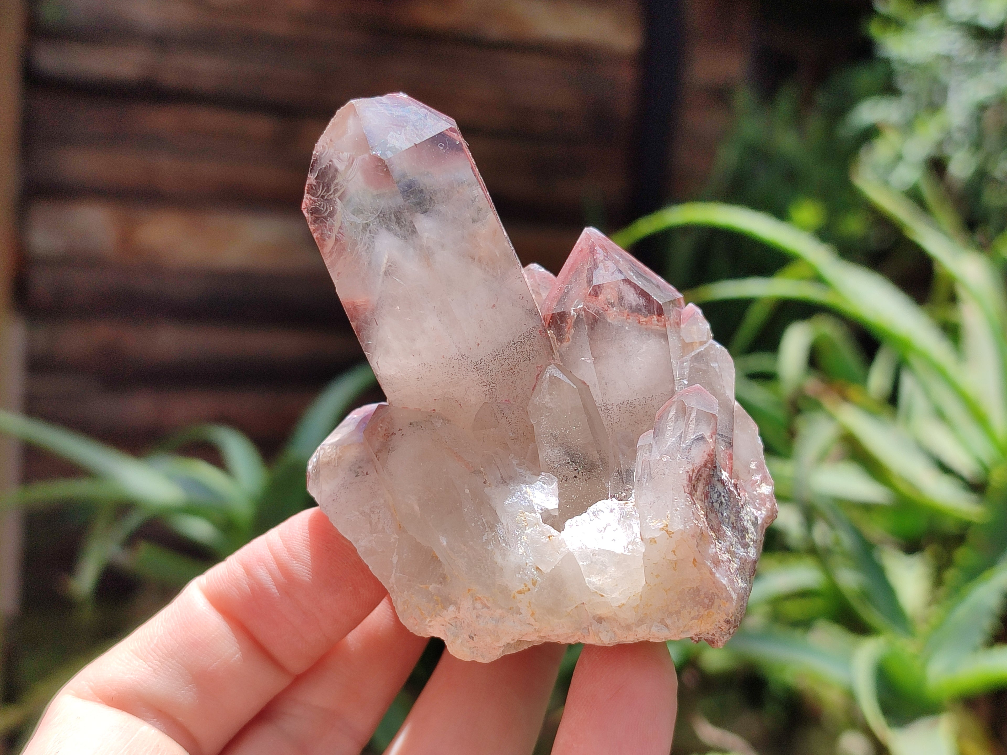 Natural Red Hematoid Quartz Clusters x 15 From Karoi, Zimbabwe - Toprock Gemstones and Minerals 