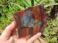 Hand Made Animal Decoupage Stone Slabs x 5 From Southern Africa - Toprock Gemstones and Minerals 