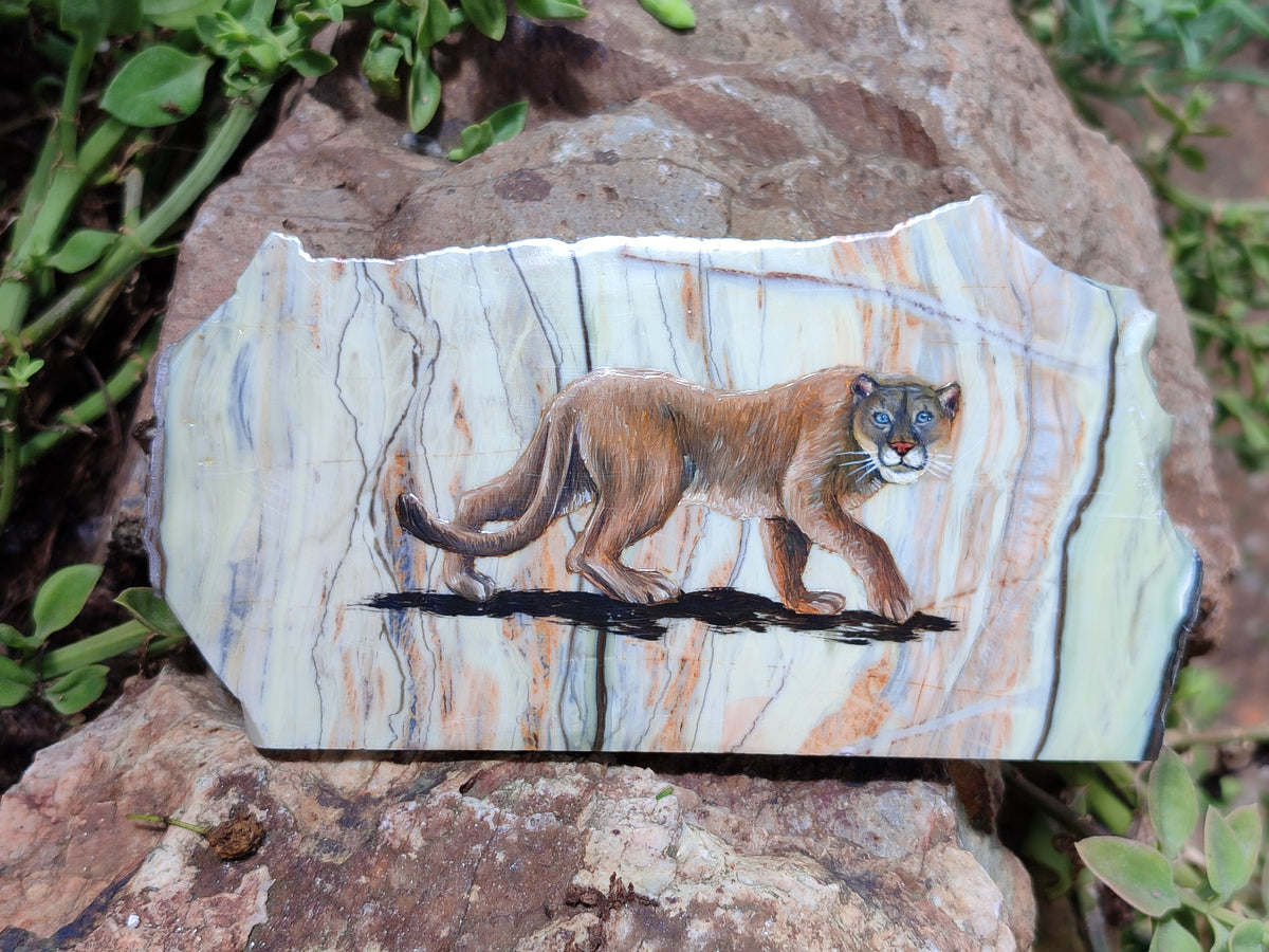 Hand Made Animal Decoupage Stone Slabs x 5 From Southern Africa - Toprock Gemstones and Minerals 