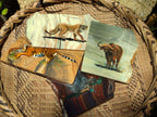 Hand Made Animal Decoupage Stone Slabs x 5 From Southern Africa - Toprock Gemstones and Minerals 