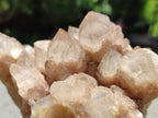 Natural Smokey Phantom Quartz Cluster x 1 From Luena, Congo - Toprock Gemstones and Minerals 