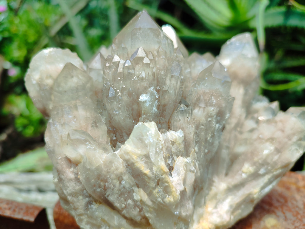 Natural Smokey Phantom Quartz Cluster x 1 From Luena, Congo - Toprock Gemstones and Minerals 