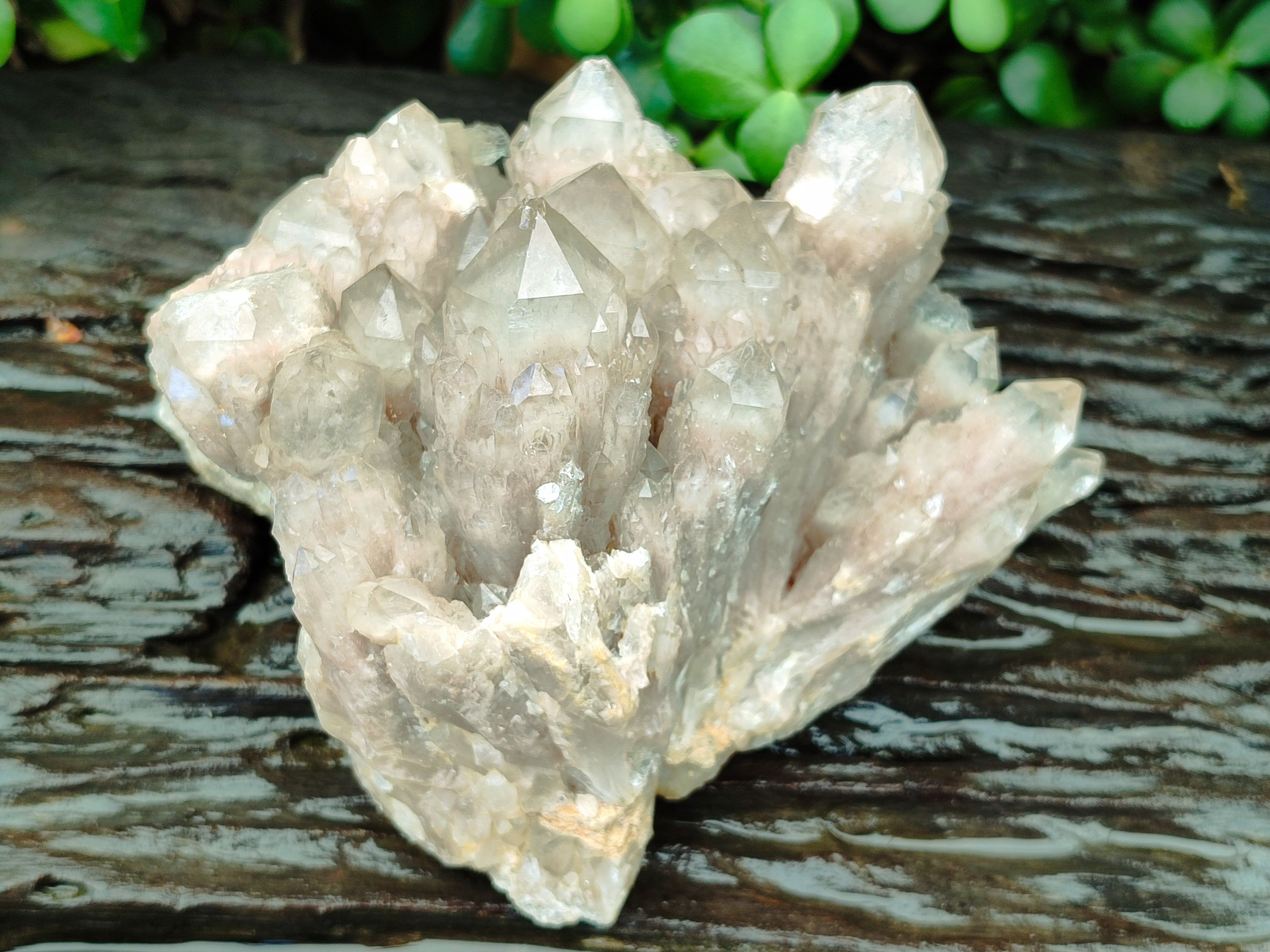 Natural Smokey Phantom Quartz Cluster x 1 From Luena, Congo - Toprock Gemstones and Minerals 