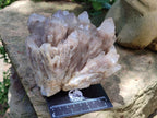 Natural Smokey Phantom Quartz Cluster x 1 From Luena, Congo - Toprock Gemstones and Minerals 